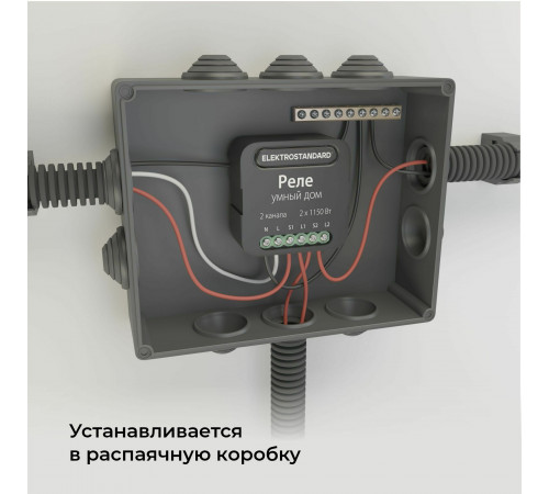 Реле Elektrostandard Умный дом черный 2 канала * 1150W 76007/00