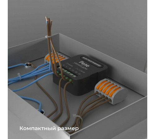 Реле Elektrostandard Умный дом черный 2 канала * 1150W 76007/00